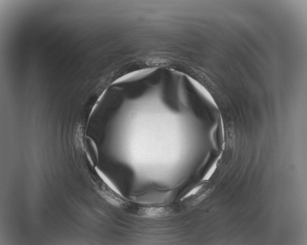 X0000082720575200702161844