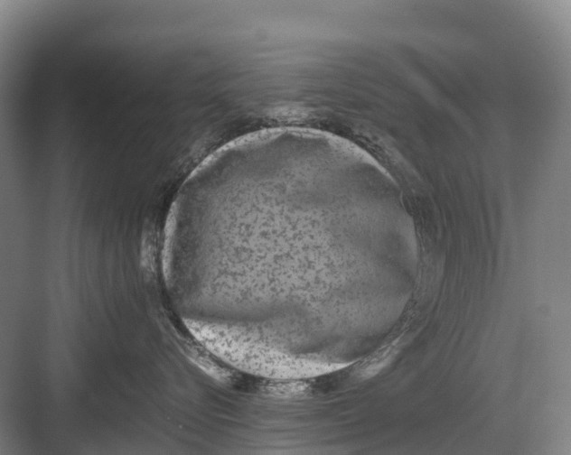 X0000082720576200702161844