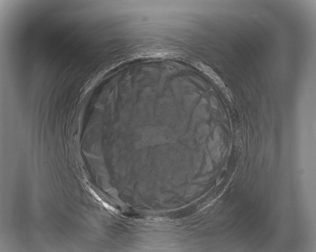 X0000082720577200702161844