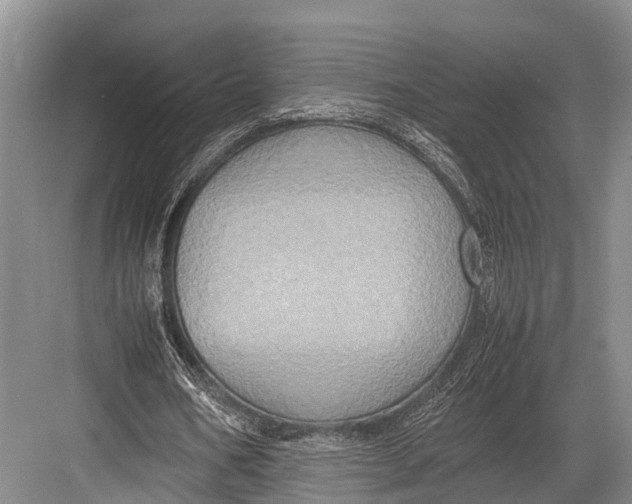 X0000082720578200702161844