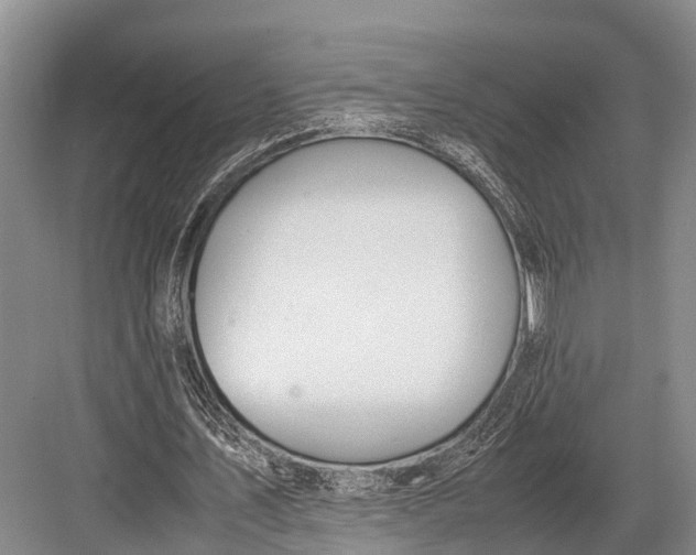 X0000082720579200702161843