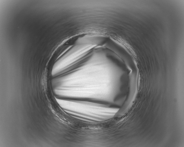 X0000082720580200702161843