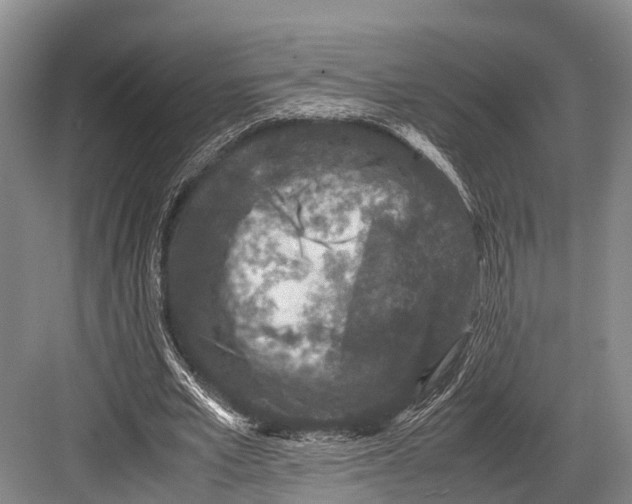 X0000082720581200702161843