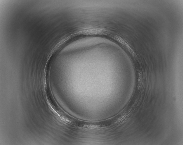 X0000082720582200702161843