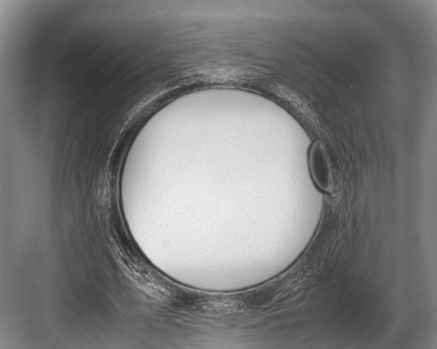 X0000082720583200702161843