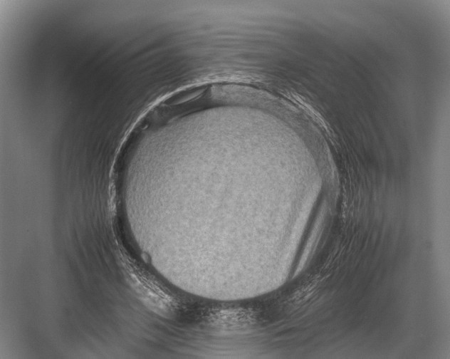 X0000082720584200702161843