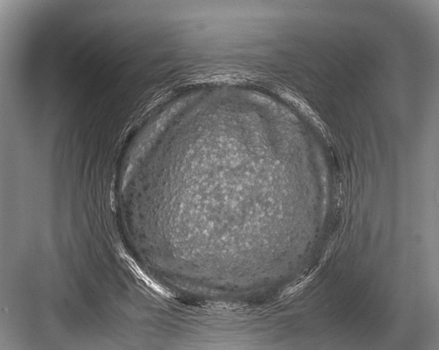 X0000082720585200702161843