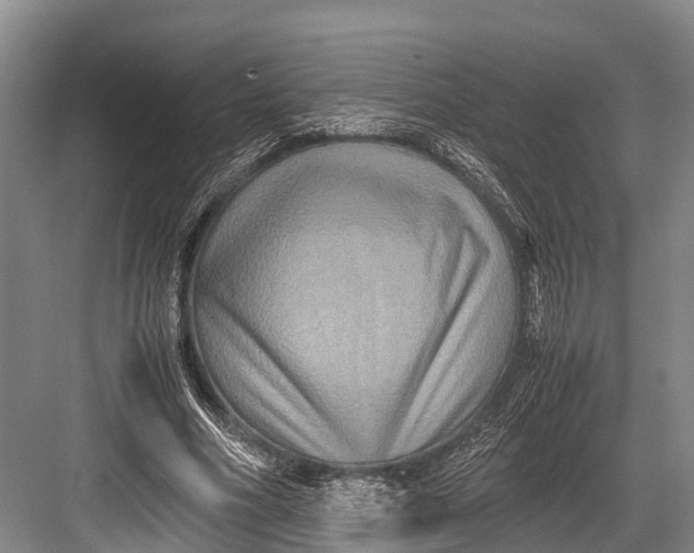 X0000082720586200702161843