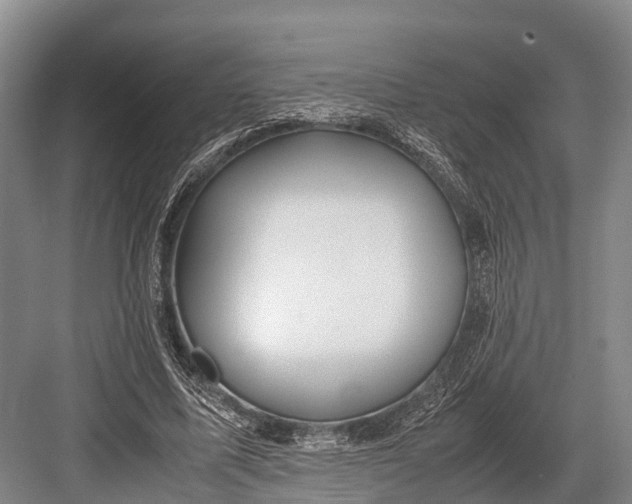 X0000082720587200702161843