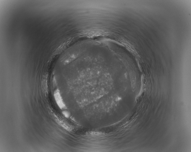 X0000082720590200702161843