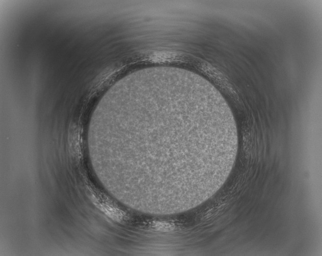 X0000082720592200702161843