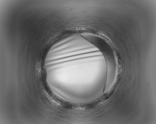 X0000082720593200702161843