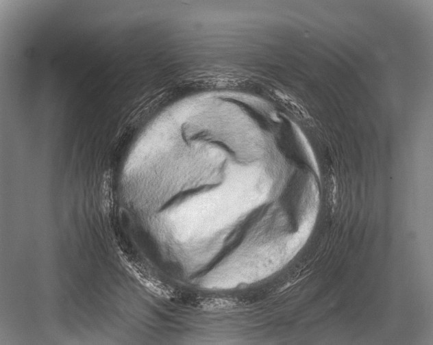 X0000082720594200702161843