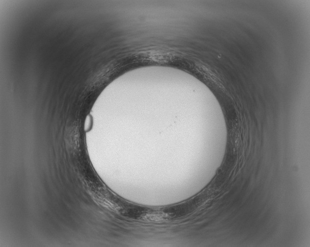 X0000082720595200702161843