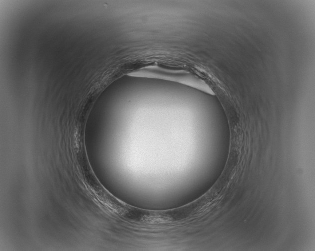 X0000082720597200702161843