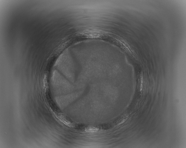 X0000082720598200702161843