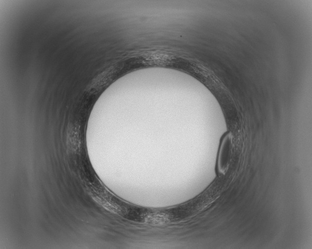 X0000082720599200702161843