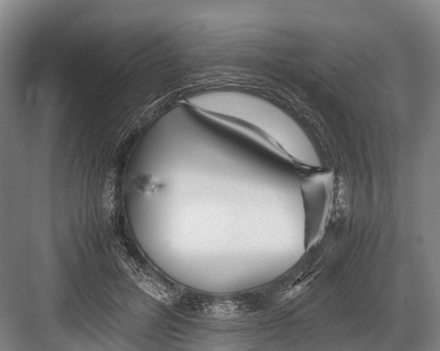 X0000082720600200702161843