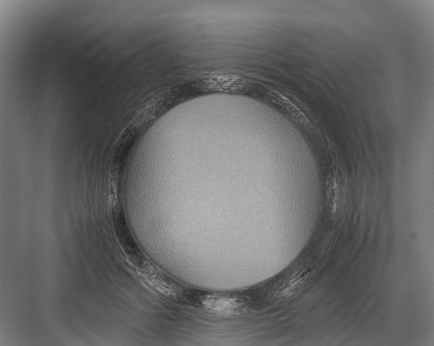 X0000082720602200702161843