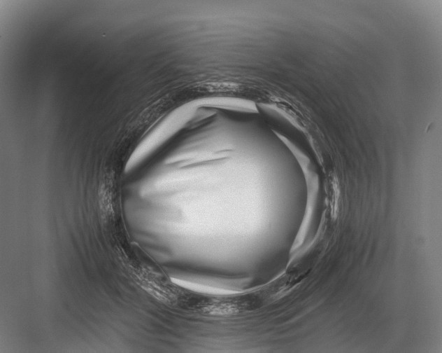 X0000082720604200702161843