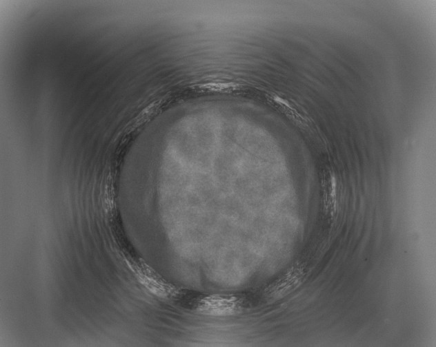 X0000082720606200702161843