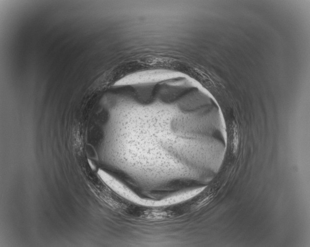 X0000082720607200702161843