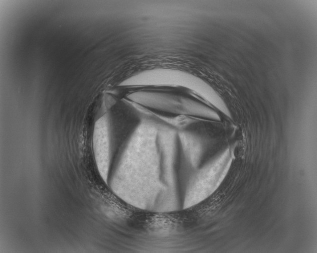 X0000082720608200702161843