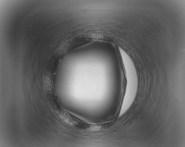 X0000082720609200702161843