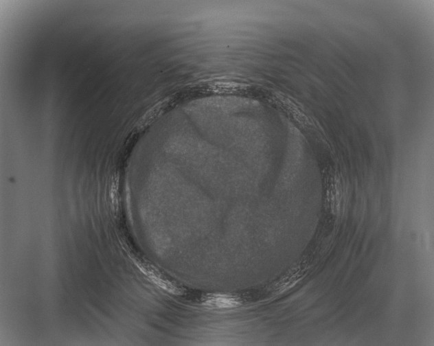 X0000082720610200702161843