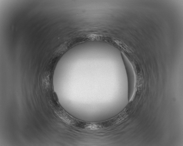 X0000082720611200702161843