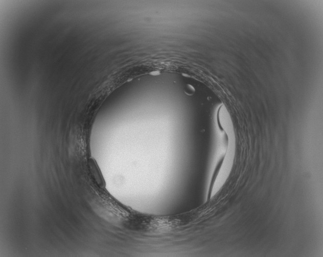 X0000082720613200702161843