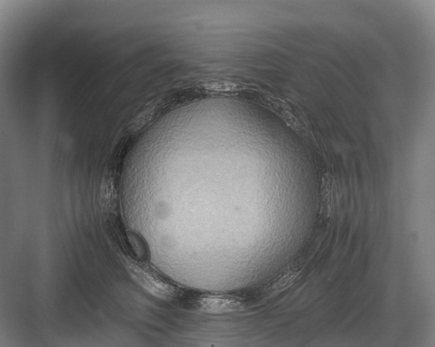 X0000082720614200702161843