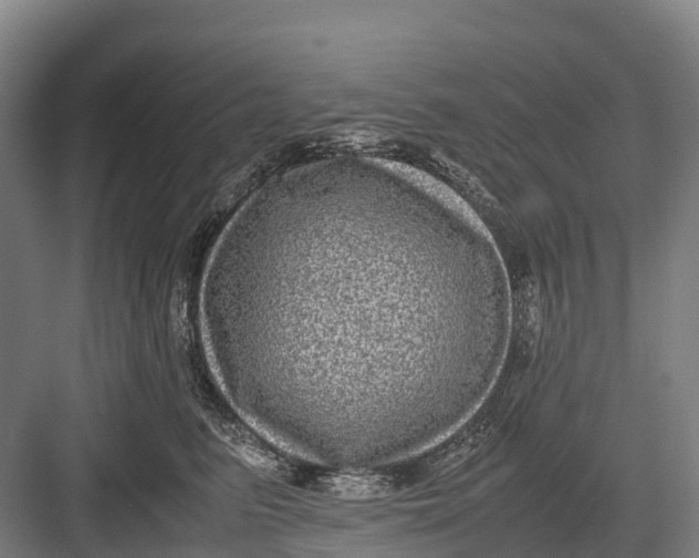 X0000082720615200702161843