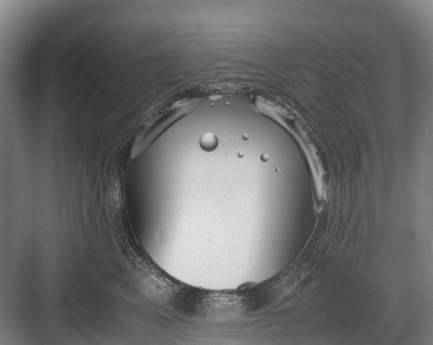 X0000082720617200702161843