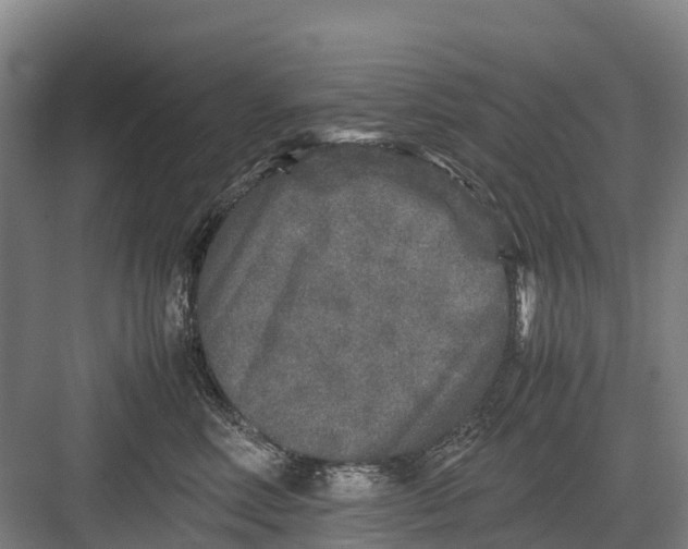 X0000082720618200702161843