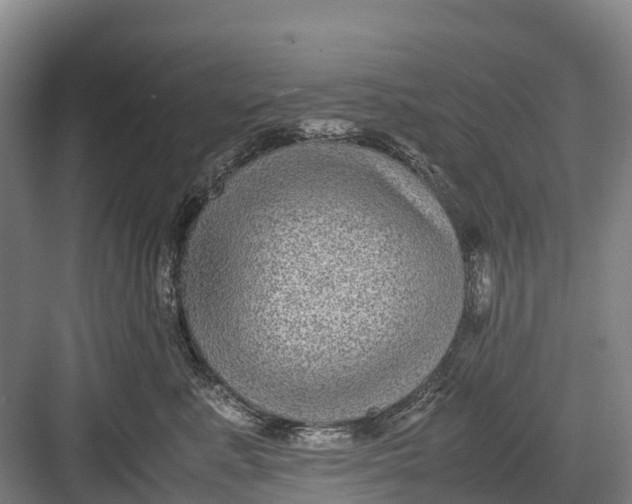 X0000082720619200702161843