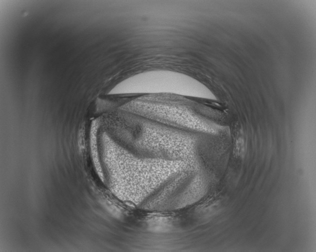 X0000082720620200702161843