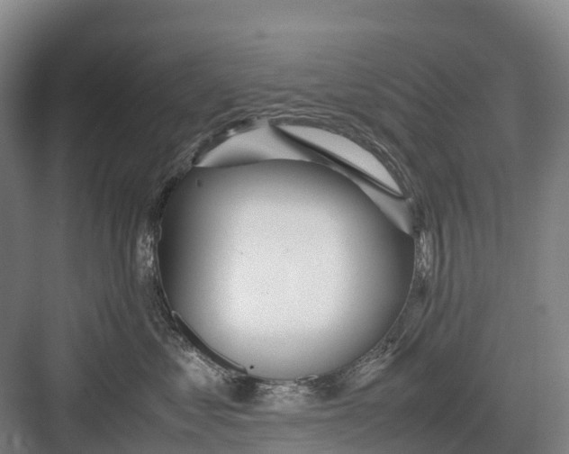 X0000082720621200702161843