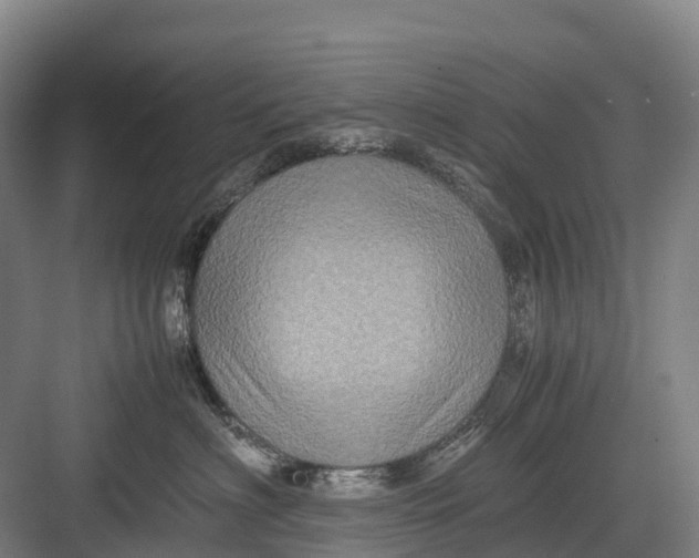 X0000082720622200702161843