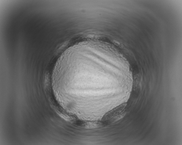 X0000082720623200702161843