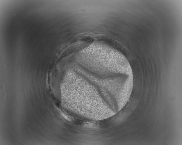 X0000082720624200702161843