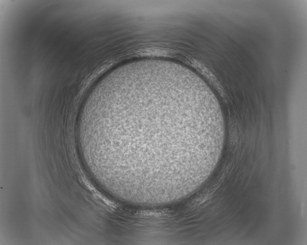 X0000082720625200702161842