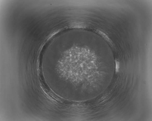 X0000082720627200702161842