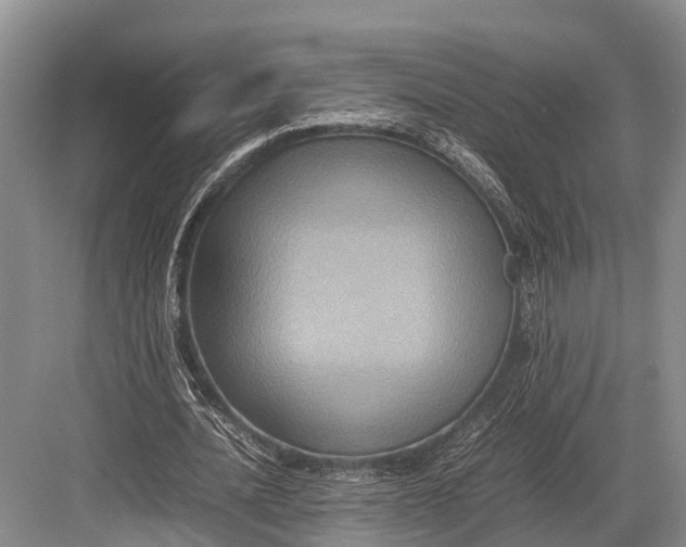 X0000082720628200702161842