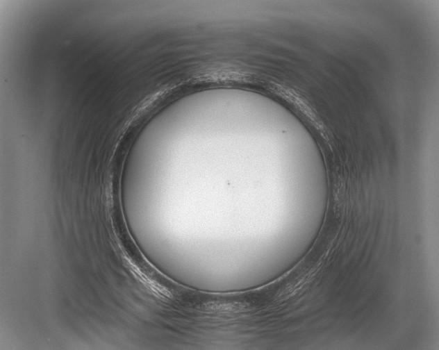 X0000082720629200702161842