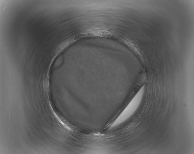 X0000082720630200702161842