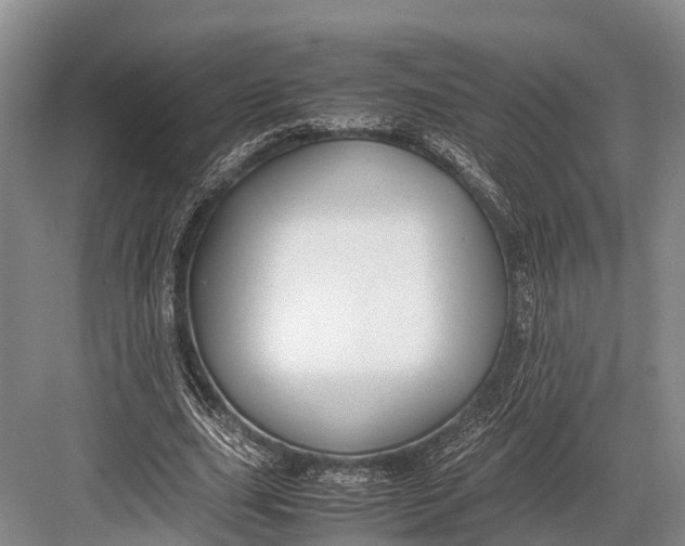 X0000082720631200702161842