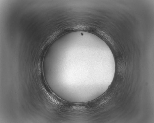 X0000082720633200702161842