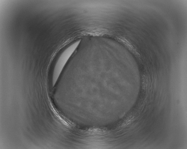 X0000082720634200702161842