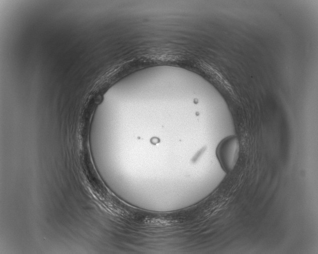 X0000082720635200702161842